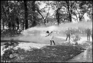 Image description is not available for 2013.035